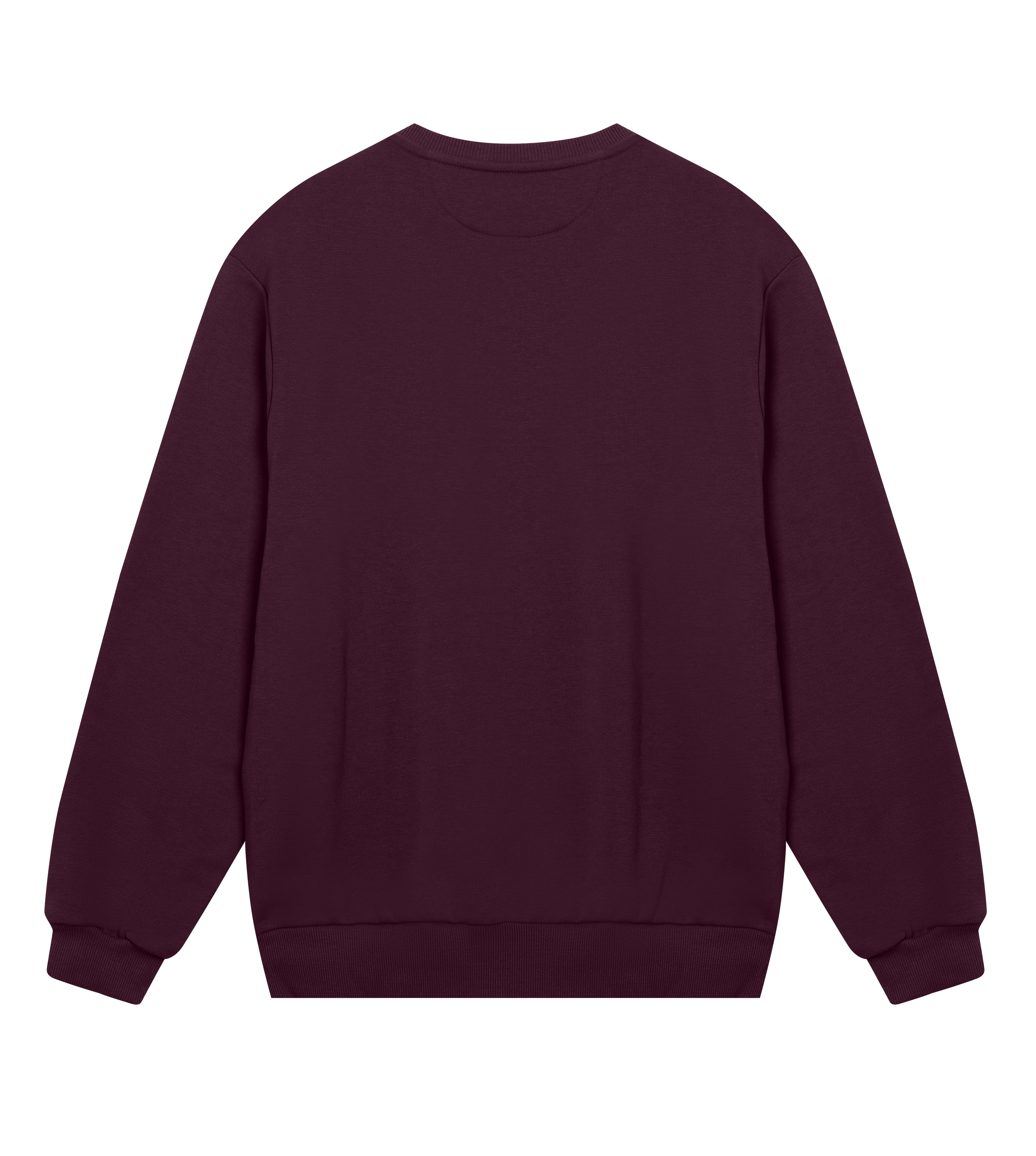 Ski Bum Sweatshirt Regular Men’s (Back Print)