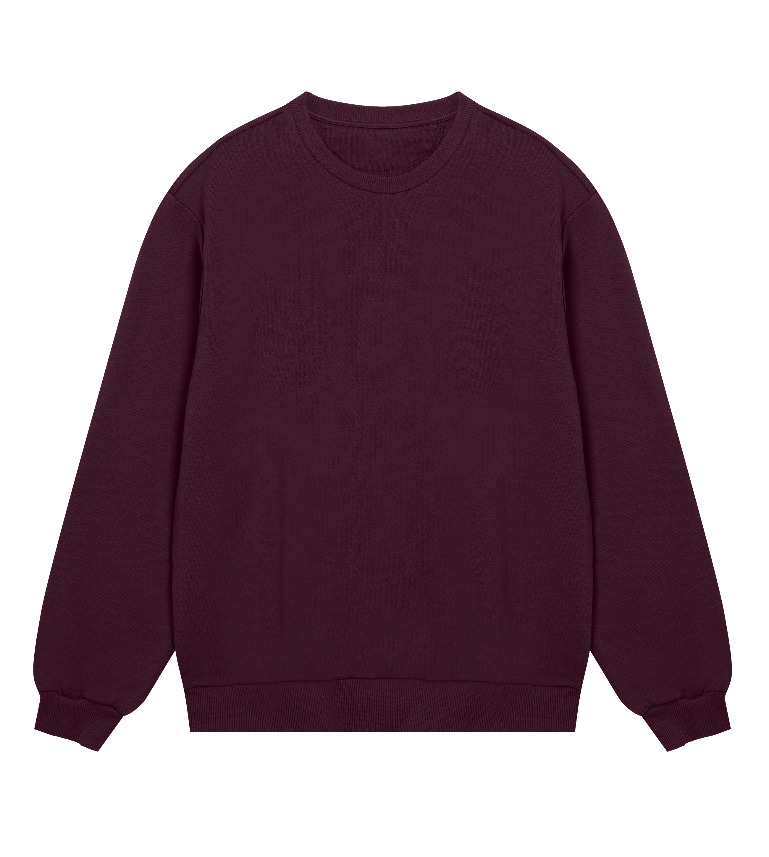 Skisexual Sweatshirt Regular Men’s (Back Print)