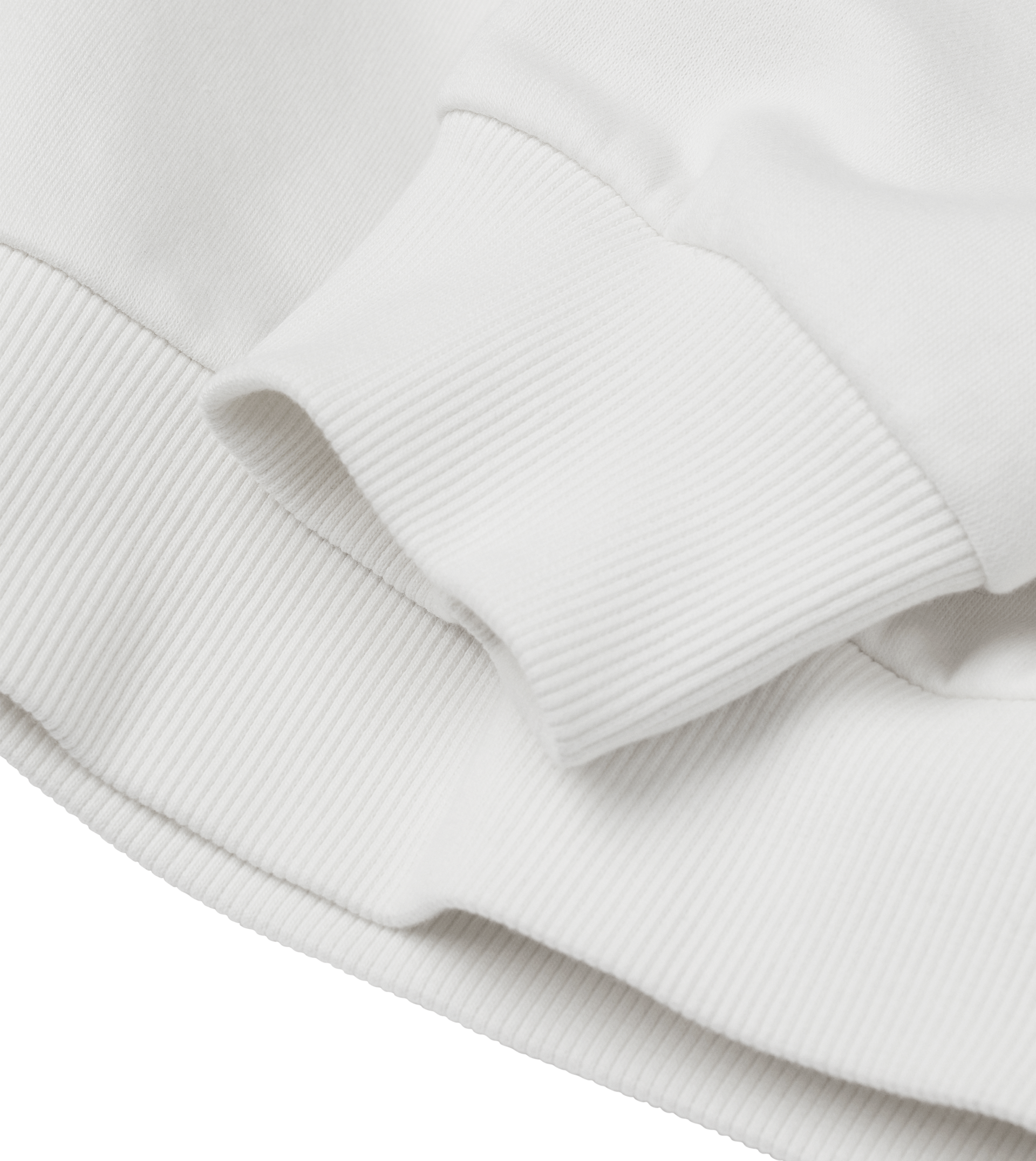 Skisexual Sweatshirt Regular Men’s (Back Print)